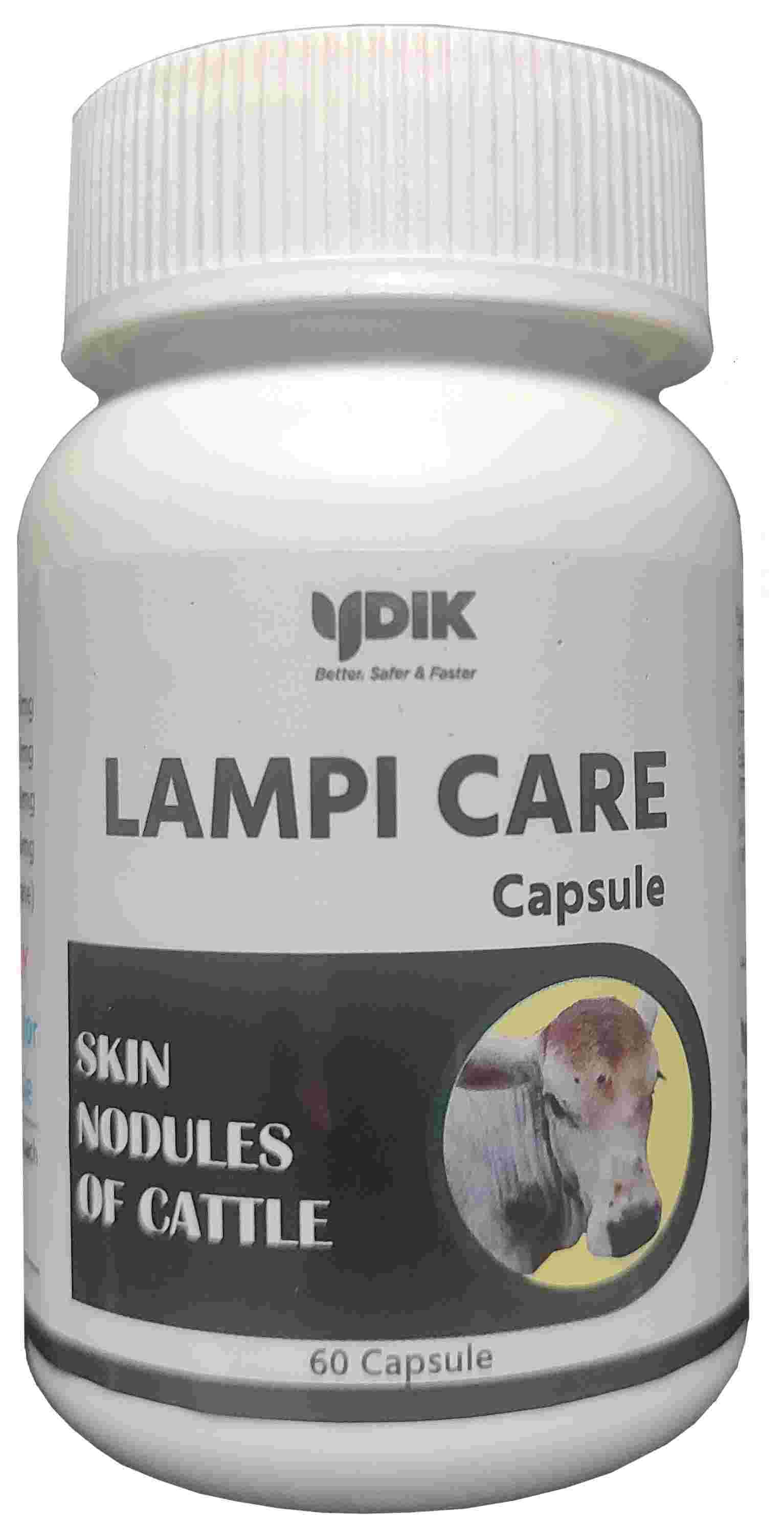 saaspik